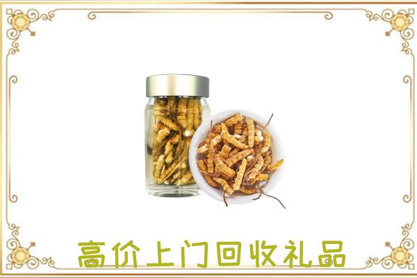 娄底周边回收虫草